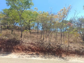 Land