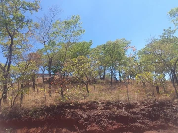 Land