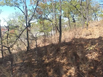 Land